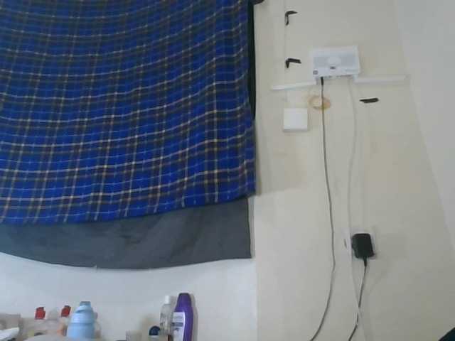 Vinsishly11