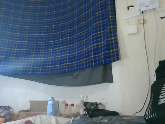 Vinsishly11