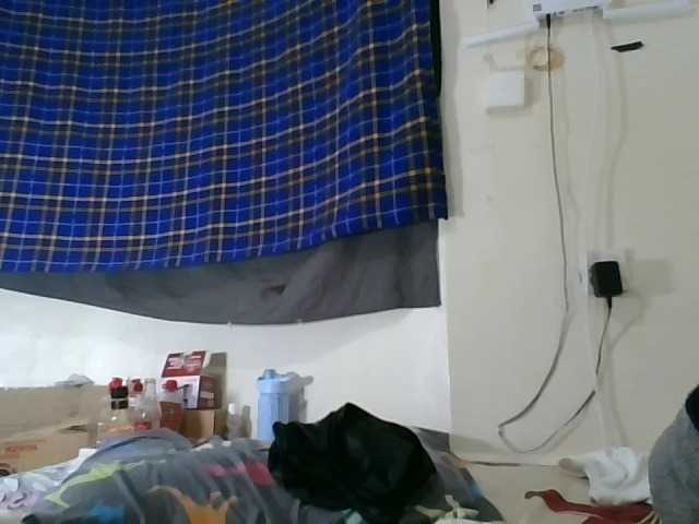 Vinsishly11