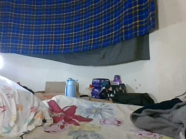 Vinsishly11