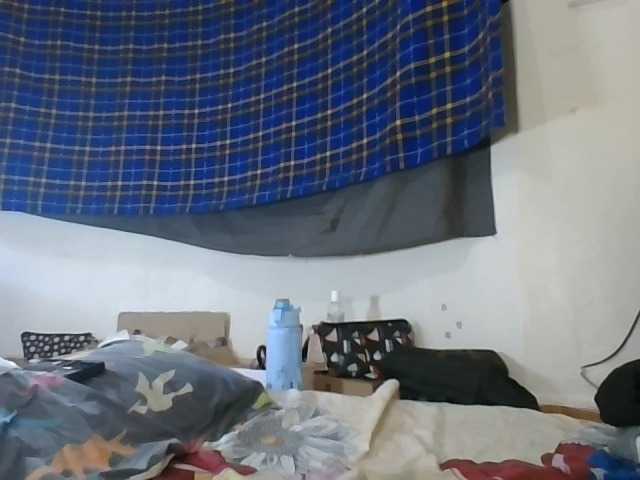 Vinsishly11