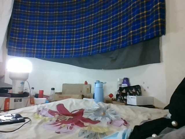 Vinsishly11