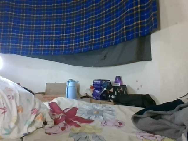 Vinsishly11