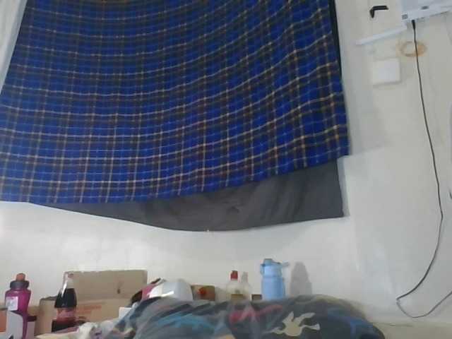 Vinsishly11