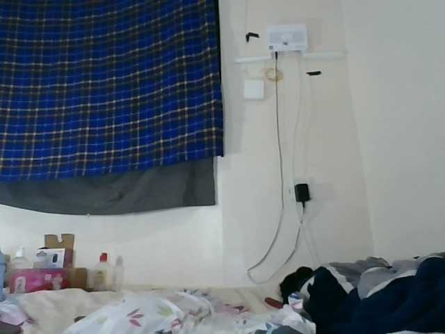 Vinsishly11