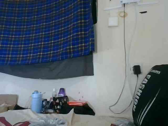 Vinsishly11