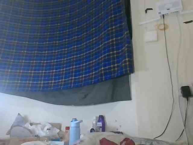 Vinsishly11 webcam