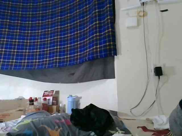 Vinsishly11 webcam