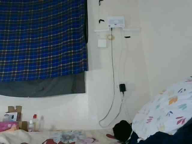 Vinsishly11 webcam