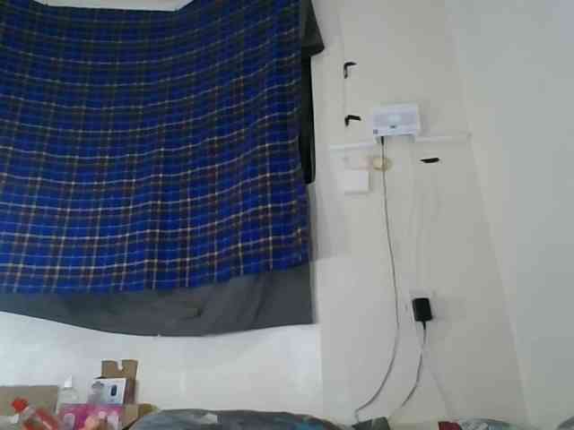 Vinsishly11 webcam