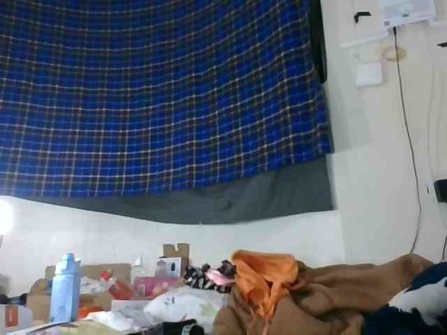 Vinsishly11 webcam