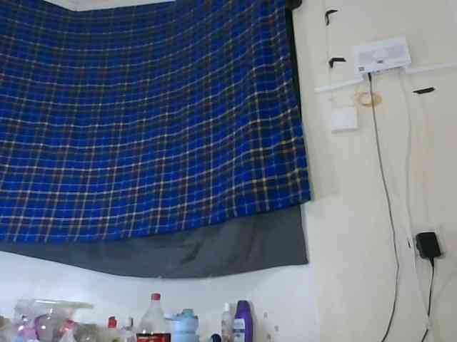 Vinsishly11 webcam