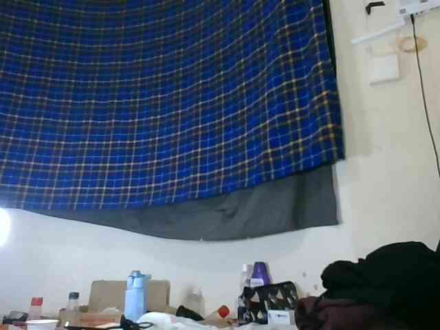 Vinsishly11 webcam