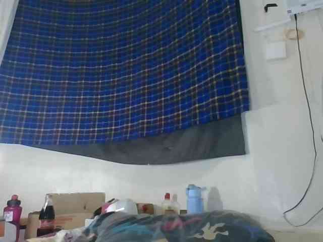 Vinsishly11 webcam