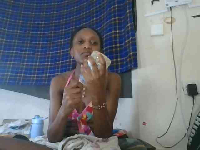 Model: Vinsishly11
