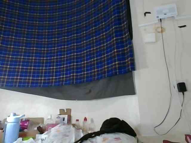 Vinsishly11 webcam