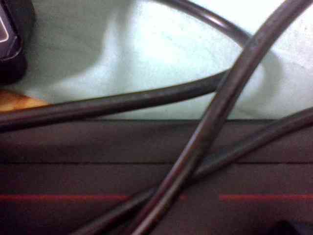 Vinsishly11 webcam