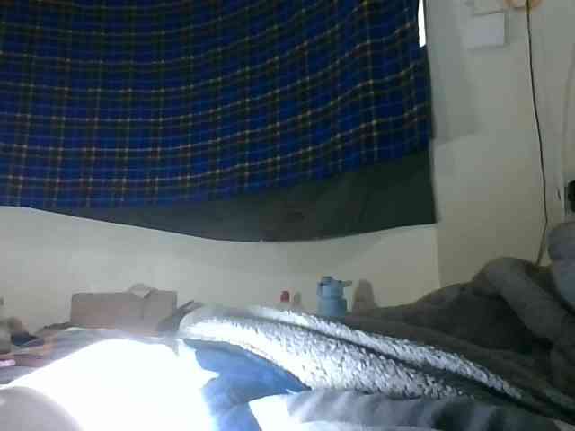 Vinsishly11 webcam