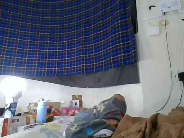 Vinsishly11 webcam