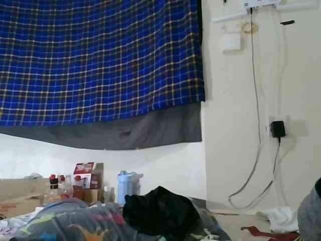 Vinsishly11 webcam