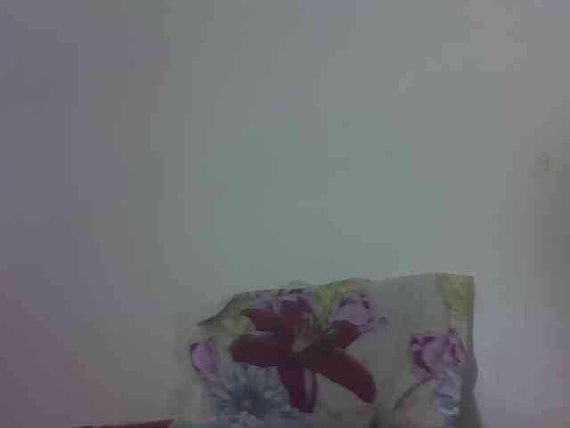 Vinsishly11 webcam