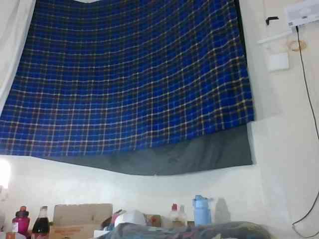 Vinsishly11 webcam