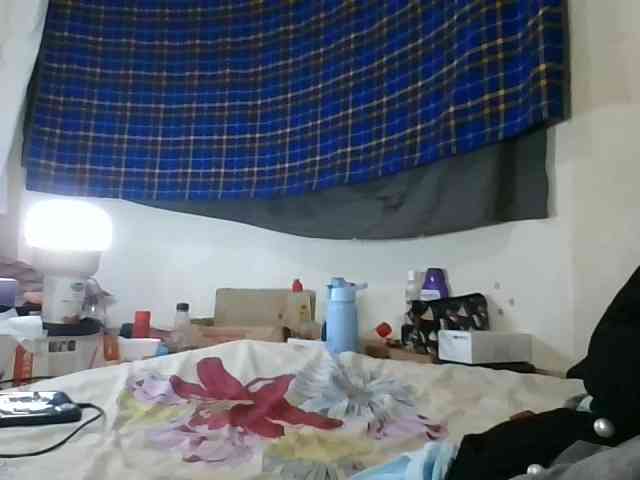 Vinsishly11 webcam