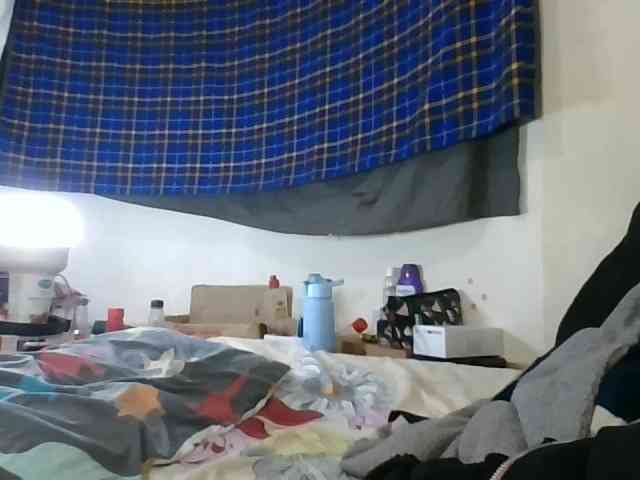 Vinsishly11 webcam