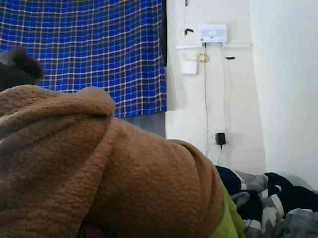 Vinsishly11 webcam