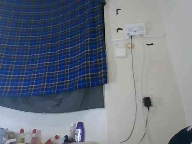 Vinsishly11 webcam