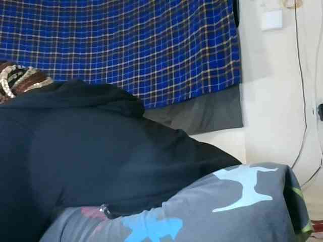 Vinsishly11 webcam