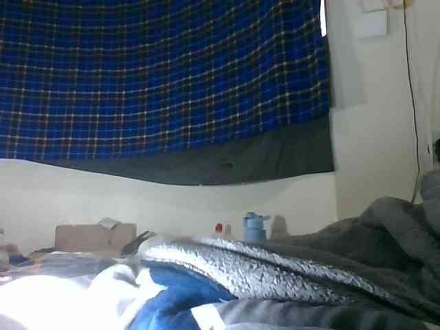 Vinsishly11 webcam