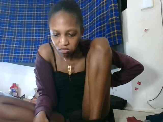 Model: Vinsishly11