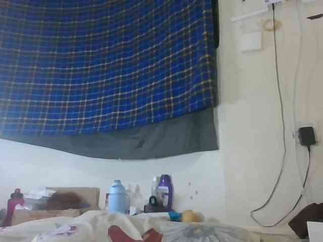 Vinsishly11