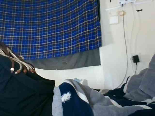 Vinsishly11
