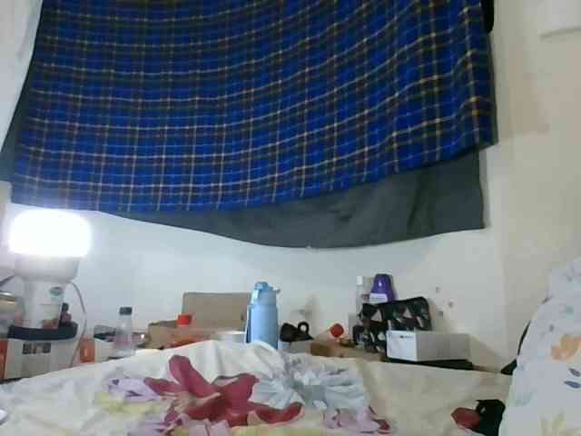 Vinsishly11