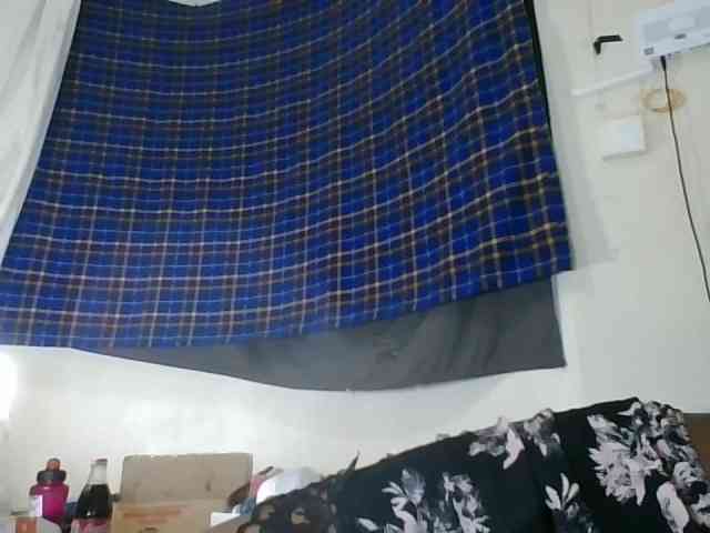 Vinsishly11 webcam