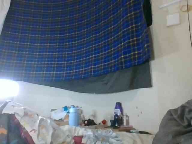 Vinsishly11 webcam