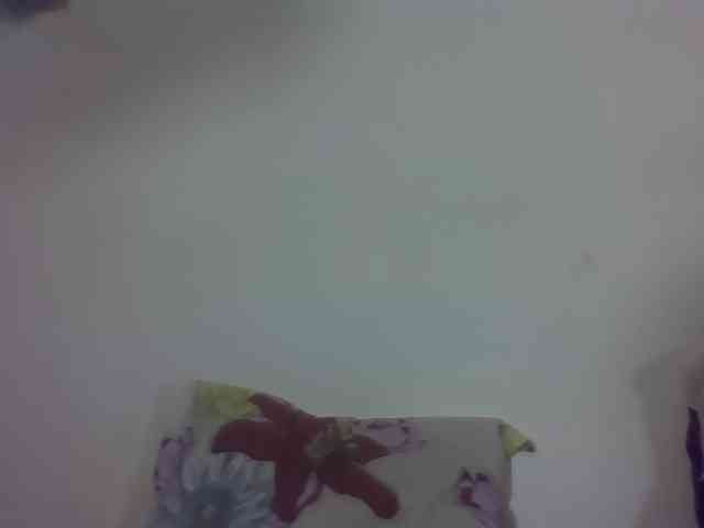 Vinsishly11 webcam