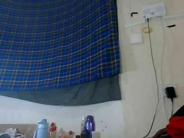 Vinsishly11