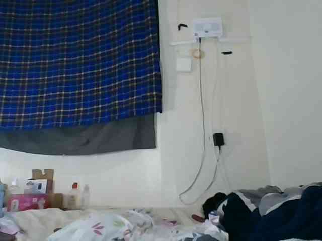 Vinsishly11 webcam