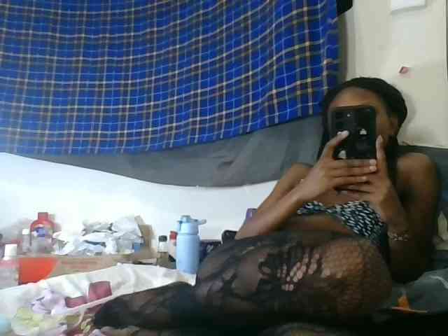 Model: Vinsishly11