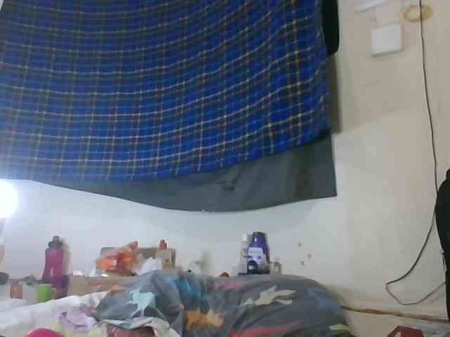 Vinsishly11 webcam