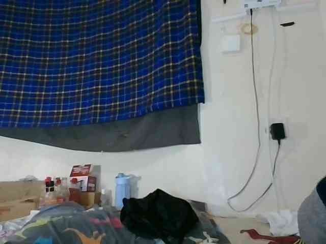 Vinsishly11 webcam