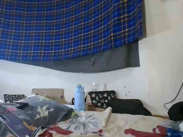 Vinsishly11