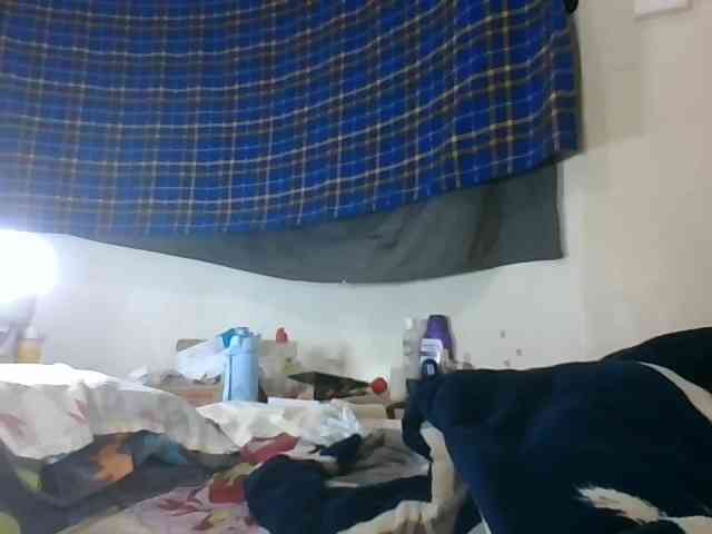 Vinsishly11