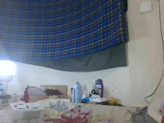 Vinsishly11