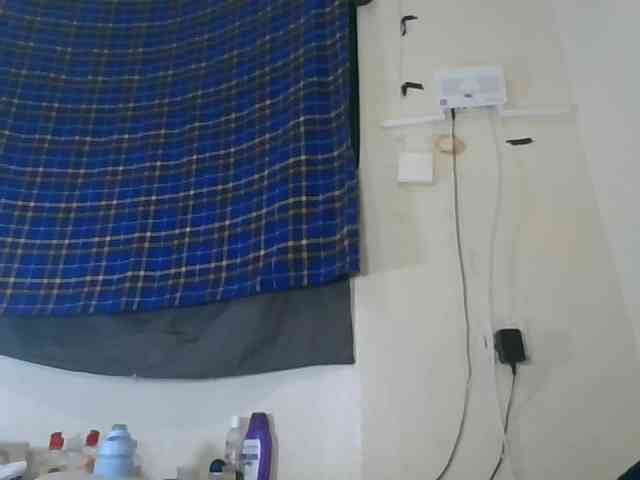Vinsishly11 webcam