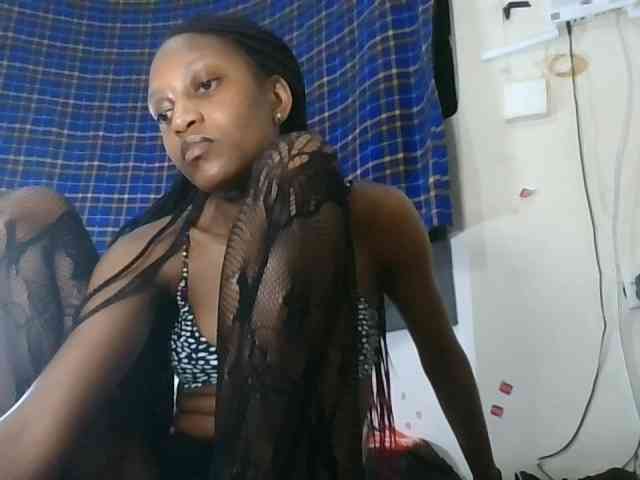 Model: Vinsishly11