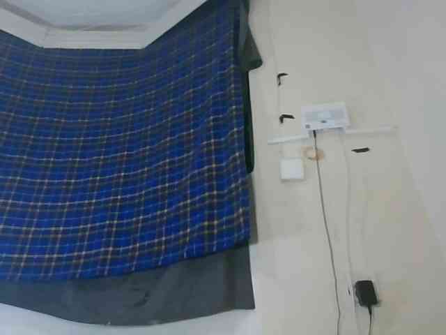 Vinsishly11 webcam